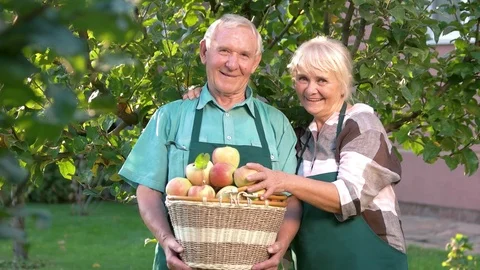Happy gardeners holding apple basket. Stock Footage