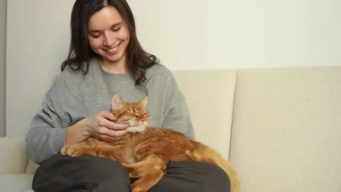 Happy ginger cat sitting with his girl owner on the sofa while she petting hi Stock Footage 303813264