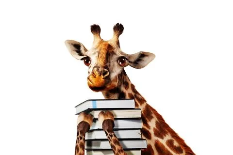 Happy giraffe with stack of books close view, Stock Photos