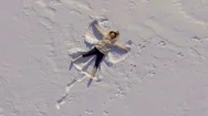 Happy Girl Lays On Snow, Aerial View Stock Footage