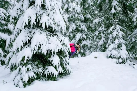 Happy girl playing hide and seek in the forest Stock Photos