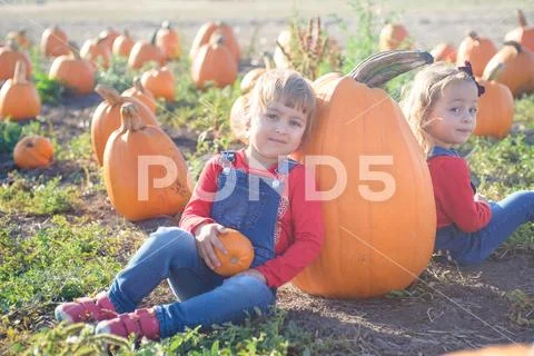 Happy girls sitting near huge pumpkin at farm field patch Stock Photos
