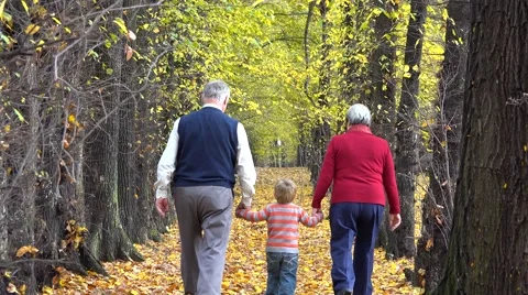 Happy grandparents and little grandchild holding hands walking on autumn alley Stock Footage