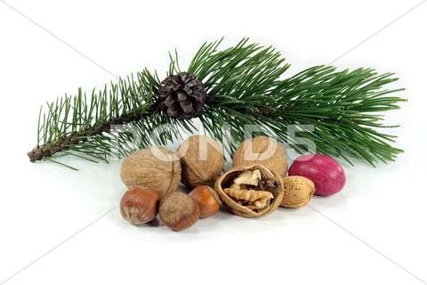 Happy Greeting Seasons. Stock Photos