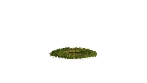 Happy Groundhog Day. 3d looping animation of cute groundhog popping up from his Stock Footage 85173333