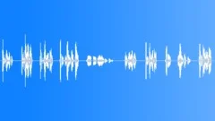 Happy Groundhog DaySound Effect