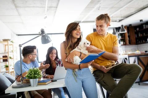 Happy group of students studying and working together in a college Foto stock