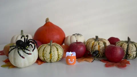 Happy Halloween Background. Selection of various pumpkins, spiders Stock Footage 161163210
