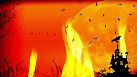 Happy Halloween Stock Footage 80264891