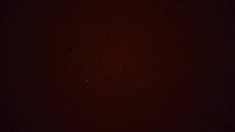 Happy Halloween Stock Footage 253157245