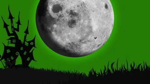 Happy Halloween Stock Footage 253158501