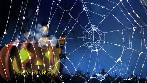 Happy Halloween spider web background Stock Footage 96003676