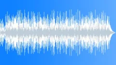 Happy Hawaiian Acoustic Carefree: Positive Fun Upbeat Joy Cheerful Playful Sweet Stock Music