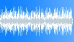 Happy Hawaiian Acoustic Carefree: Positive Fun Upbeat Joy Cheerful Playful Sweet Stock Music
