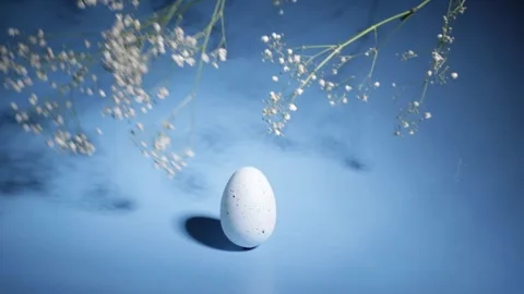 Happy holiday background, Easter egg with spring flowers, blue backdrop Stock Footage 262145450