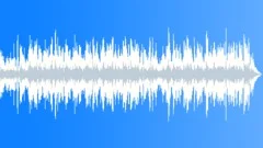 Happy Intonation Flexible Happy Tempo music Stock Music