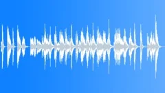 Happy Jazzy Theme (30sec) Stock Music