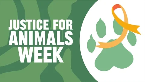 Happy justice for animals week Stock Footage 342304793