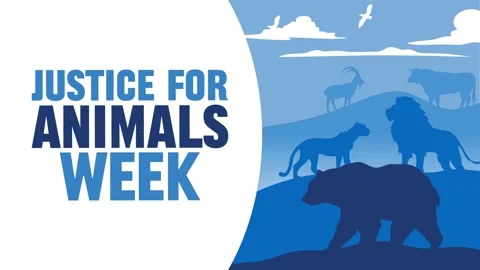 Happy justice for animals week Stock Footage 342304797