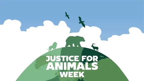 Happy justice for animals week Stock Footage 342304859