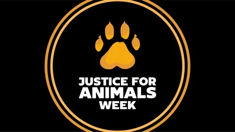 Happy justice for animals week Stock Footage 342304862