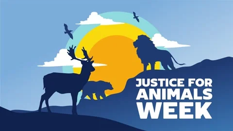 Happy justice for animals week Stock Footage 342304950