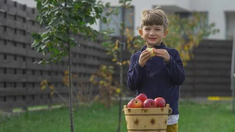 Happy kid eats red apple in the countryside yard Stock Photos