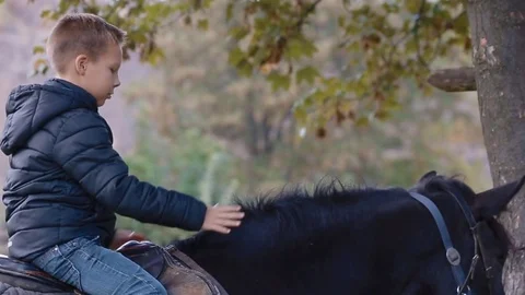 Happy kid on the horseback Stock Footage 76737141