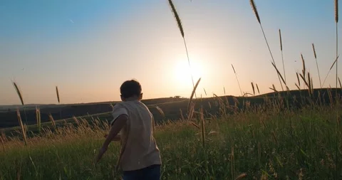 Happy kid running on a meadow in summer at sunset Stock Footage 240764235