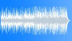 Happy Land, Acoustic B30s (Pizzicato Playful Fun Upbeat Positive Kids Joy Piano)Stock Music