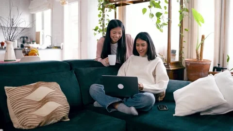 Happy lesbian couple using a laptop computer on the sofa Stock Footage 331214960