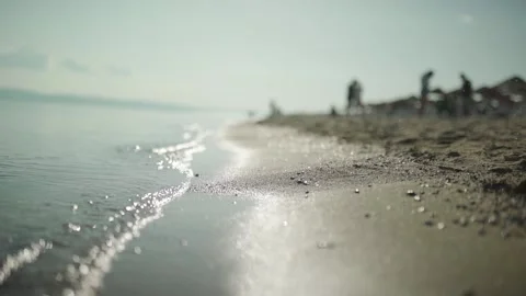 Happy Light Brown Dog Running In Slow Motion On A Sandy Beach. Video Stock Footage 252620136