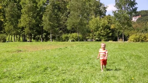 Happy liitle boy running on the grass in the park Stock Footage 56542839