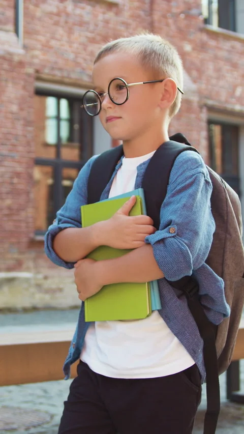 Happy little boy with backpack walking after school with books in her hands. Stu Stock Footage 331796165