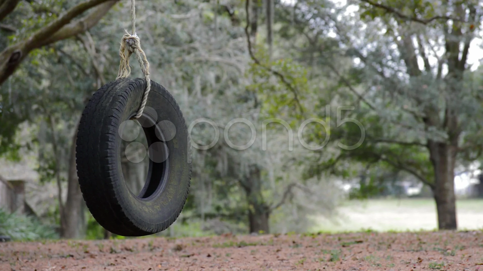 But what about the tire swing? This is the current promo shot