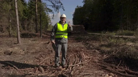 Happy lumberjack show thumb up Vidéo 68205221