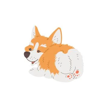 Happy lying corgi dog back view flat style, vector illustration Stock Illustration