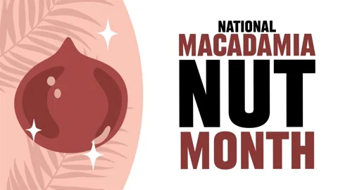Happy Macadamia Nut Month to all macadamia nut lovers Stock Footage 339754312