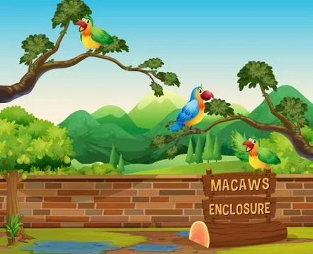 Happy Macaws in a Zoo 스톡 일러스트