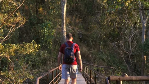 Happy man with backpack go hiking or trekking on pedestrian bridge in forest in Stock-Footage 201376842