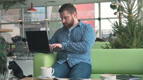 Happy man browsing laptop computer, show ok to camera, cafe, portrait, steadicam 库存影片 72951810