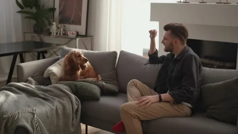 Happy man sitting on the couch and looking at his dog Stock Footage 169042307