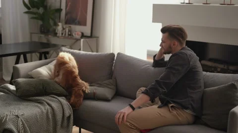 Happy man sitting on the couch and playing with dog Stock Footage 169042325