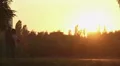 Happy married couple strolling in the park in golden sunset rays, magic hour HD Footage