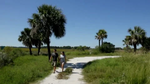 Happy married couple walking on a path and holding hands under a palm tree Stock Footage 8765229