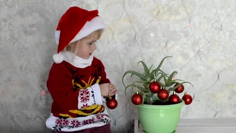 Happy merry christmas Stock Footage 164583697