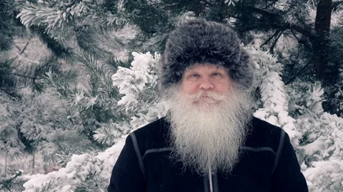 Happy middle aged man posing in snowfall on snow-covered pine tree background. Видео 123343350