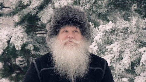 Happy middle aged man posing in snowfall on snow-covered pine tree background Видео 123343392