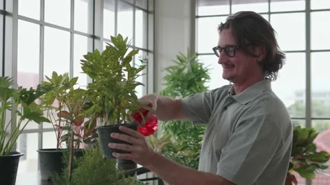 A happy middle-aged man is spraying a plant with gardening a tree at home. Stock Footage 143470260