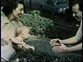 Happy Mom And Dad Toss Baby Stock Footage